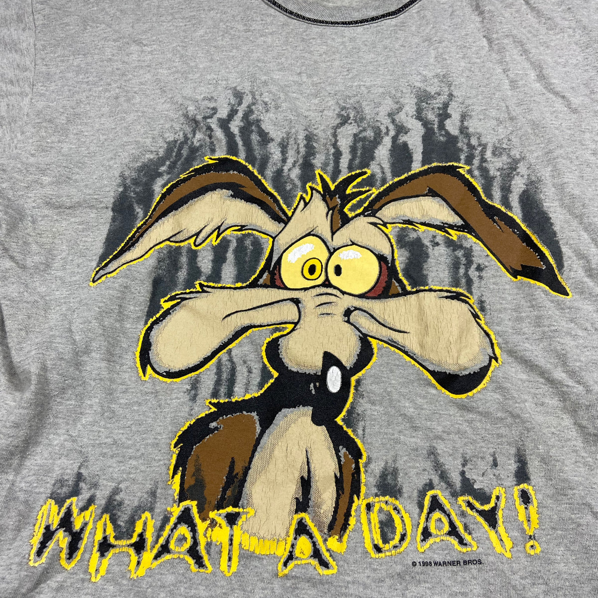 WHAT A DAY! SAD COYOTE LOONEY TUNES - TEE 1998