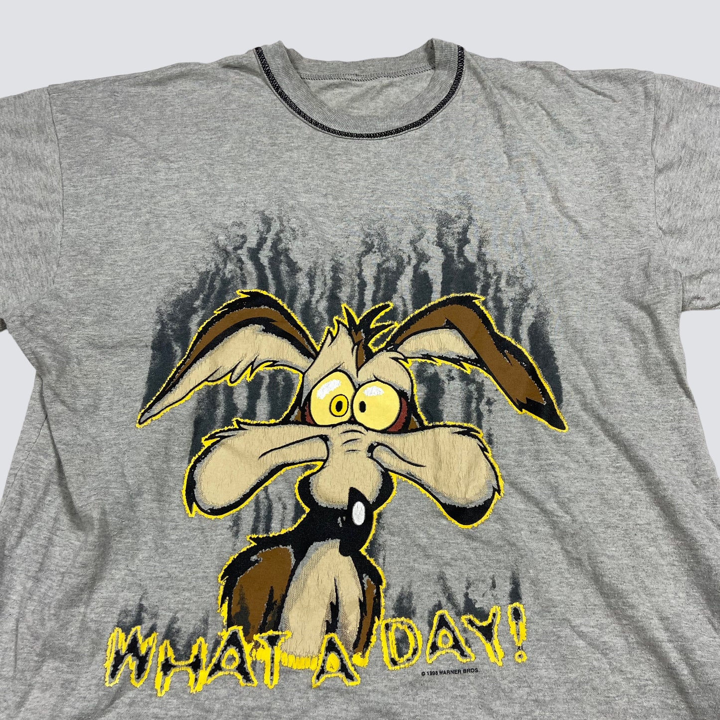 WHAT A DAY! SAD COYOTE LOONEY TUNES - TEE 1998