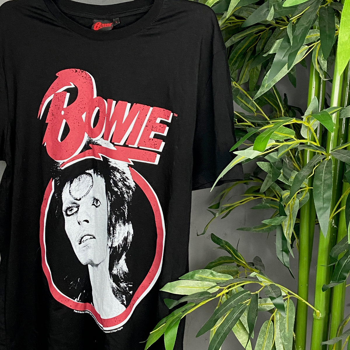DAVID BOWIE ARCHIVE PHOTO BY MICK ROCK TEE