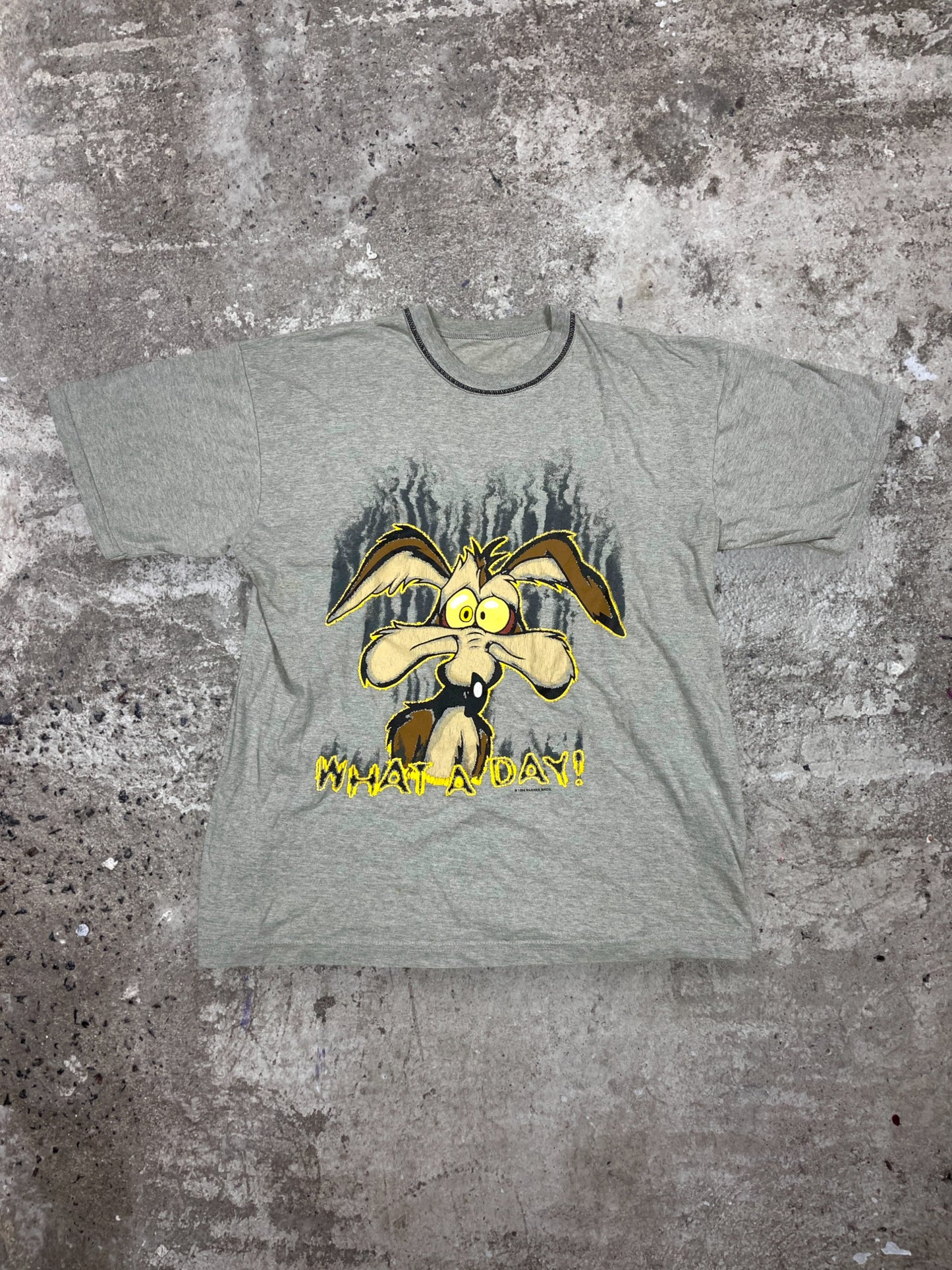 WHAT A DAY! SAD COYOTE LOONEY TUNES - TEE 1998